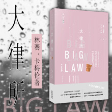 正版 大律所 （美）林赛卡梅伦著 法律出版社 法律长篇小说