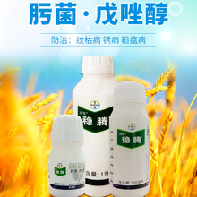 拜耳 稳腾30%肟菌.戊唑醇水稻小麦蔬菜稻瘟病纹枯病赤霉病剂 500ml