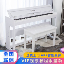海蒂诗（hetitch）电钢琴88键重锤烤漆成人专业数码钢琴立式智能考级用琴幼师专用自学电子钢琴 B-81木纹白-全重锤-蓝牙-APP跟弹（配琴凳）