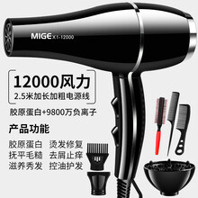 德国进口吹风机家用速干理发店专用大功率3000W负离子护发宿舍静 贵族黑进口12000大风送六 发廊家用造型版