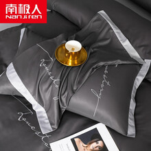南极人家纺水洗冰丝枕套一对装简约纯色枕头套单人夏天大号48x74cm家用 恩和-路易斯石墨灰 枕套一对装/48x74cm