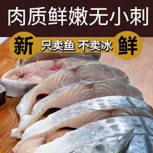 【净重无冰】马鲛鱼新鲜冷冻燕鲅鱼整条海捕鲅鱼海鲜水产批发 香妮曼特 马鲛鱼十斤【11一13条】