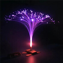 2020新款小学生科学小制作小发明手工DIY作品stem儿童科技实验材料包玩具圣诞节元旦新年礼物 DIY光纤灯