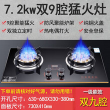 日本樱花草家用煤气灶双灶嵌入式灶具天然气猛火灶台式液化气燃气灶 双九头7.2KW猛火灶+双定时 液化气