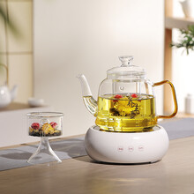 诺洁仕（LOCUS）电陶炉茶炉家用功夫热泡蒸煮烧水炉迷你不挑玻璃陶瓷铁壶光波电磁炉机器 简洁白色陶瓷茶炉+1200ml玻璃壶K款