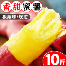 【农家鲜挖】正宗新鲜板栗红薯10斤蜜薯糖心地瓜甜黄心番薯沙地农家自种小香薯3山芋宝宝辅食当季应季 10斤 大果