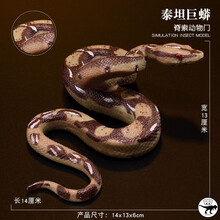网红整蛊儿童动物园玩具套装仿真蛇模型爬行两栖动物大蟒蛇黄金蟒 泰坦巨蟒