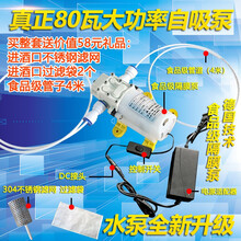 食品级抽酒泵 家用不锈钢自吸水泵 白酒灌装过滤泵小型电动抽酒器 全套80瓦水泵抽500-800斤/小时