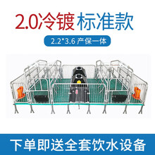 牧多多 双体母猪产床 产保一体母猪分娩床  复合母猪产床 养猪设备 2.0冷镀 标准款 2.2*3.6产保一体