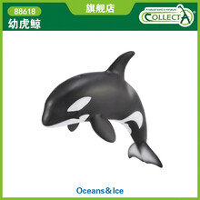 英国CollectA我你他仿真海洋动物模型玩具虎鲸认知88618幼杀人鲸 幼杀人鲸