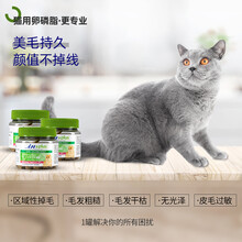 麦德氏猫用卵磷脂猫咪软磷脂亮眼美毛软灵脂爆毛粉鱼油防脱毛掉毛 猫咪卵磷脂500g