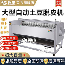 羚木 商用大型土豆脱皮机商用去皮机洗菜机萝卜生姜莲藕红薯芋头毛辊清洗机特惠 800型