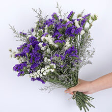 云南天然风干花束勿忘我天然真花干花大花束装饰摆件满天星 30支紫色白色配情人草