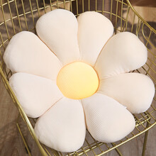 太阳花抱枕 少女心花朵抱枕太阳花坐垫雏菊花抱枕泫雅风榻榻米垫子沙发靠垫 白色黄心雏菊 45厘米