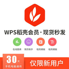 wps稻壳会员vip1年卡372天 PPT稻壳vip模板简历下载云字体激活码 稻壳普通会员1年