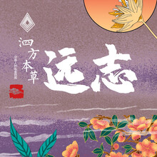 中药饮片  精品远志  1g中药饮片在线抓药中药抓中药拍方抓药  远志