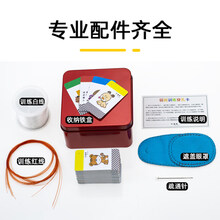 儿童弱视训练穿孔卡精细目力卡片玩具穿珠子针远视散光串珠进阶用 0.4mm孔径50片(原装正品)