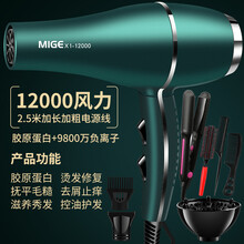 德国进口吹风机家用速干理发店专用大功率3000W负离子护发宿舍静 翡翠绿进口12000大风送六加直发 发廊家用造型版