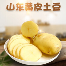 山东黄皮大土豆5斤9斤新鲜黄心大号马铃薯蔬菜洋芋 9斤