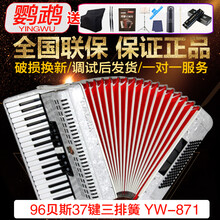 鹦鹉手风琴96BS37键成人初学专业三排簧手风琴乐器YW871 YW-871白色