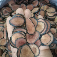 鹿茸片长白山鹿鹿茸吉林鹿茸片鹿茸血片泡酒煲汤大片10g100g 上等鹿茸片 10克