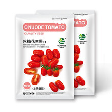 中科茂华蔬菜种子冰糖花生果樱桃番茄种子圣女果酸甜口小西红柿阳台盆栽50粒