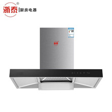 浙泰--ZT-X5-吸力大 不跑烟 噪音低--浙泰高端厨房电器