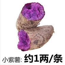 沙地紫薯番薯地瓜蔬菜(2/5/10斤)整箱 【5斤装】迷你小紫薯 沙地种植【香粉甜糯】
