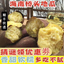 【顺丰速发】海南澄迈桥头镇 新鲜 红薯山芋 板栗薯地瓜5/10斤 【顺丰快递】5斤精选 普通装
