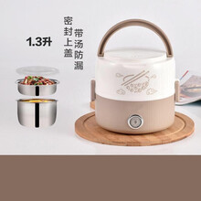 便携电热饭盒两三层不锈钢热饭器可插电加热保温饭盒双层上班族小型迷你电饭煲办公室带饭 双层不锈钢送餐具(饭量小)