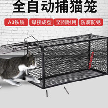 【电子发票】抓猫笼自动捕猫笼抓猫捉猫神器诱捕笼黄鼠狼笼子逮猫超市商场驱赶流浪猫笼捕鼠笼支持企业采购 超大号：可抓1-20斤猫笼