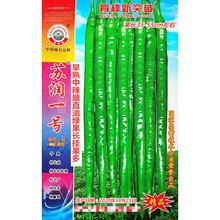 苏润一号线椒种子早熟中辣顺直油绿果长挂果多农家春秋播种精选种 苏润一号线椒原装1000粒x10袋