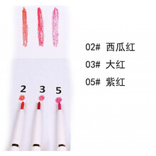 防水唇线笔白色黑色彩色旋转唇线笔不晕染欧美色系全套装10种颜色 西瓜红#02+大红#03+紫红#05