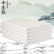 善琏湖笔 宣纸 初学四尺对开 文房四宝白色书画毛笔字练习宣纸 加厚学生半生熟四尺对开宣纸/100张/刀