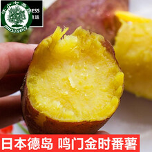 【礼盒顺丰-多地隔日达】日本品种鸣门金时地瓜 番薯板栗红薯香高甜粉糯细腻地瓜大果 大果 5斤