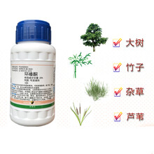 华星25%环嗪酮杀树王大树烂根 渗透杀死竹子的药一扫光神剂除草剂 250g