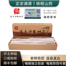 【温县垆土铁棍山药】河南焦作温县铁棍山药 正宗怀山药新鲜垆土山药 应季蔬菜根茎类蔬菜 礼盒山药送礼 【垆土5斤】富贵经典礼盒605