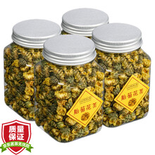 菊花茶胎菊王散装桐乡正宗杭白菊花茶不特级菊花茶贡菊花茶