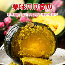 正宗贝贝南瓜板栗味迷你小南瓜粉糯香甜软孕妇宝宝辅食山东老南瓜 【实惠装】正宗贝贝南瓜3斤装