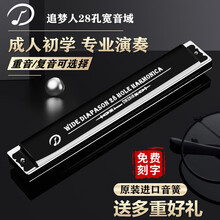 德国进口音簧天鹅追梦人口琴28孔重音C调28孔复音高级专业成人演奏级初学者学习乐器 高端28孔雅典黑重音【进口音簧】配10大礼包 C调 全套配件