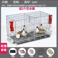 加粗鸽子笼子鸽子用品用具鸽子笼大号鸡笼家用鸽子养殖笼子 隔断80*40*47粪盘食具脚垫2窝