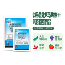 飓风70%烯酰吗啉嘧菌酯黄瓜霜霉病专用药早晚疫病农药杀菌剂 80g