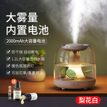 REMAX加湿器香薰机精油喷雾家用卧室办公室桌面小型迷你大雾量空气净化床头保湿器宿舍学生孕妇婴儿倍为 梨花白【银离子‖可蓄电无线使用】1.2L大容量可用