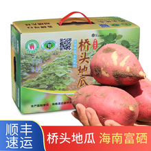 【产地直发 顺丰速运】海南桥头富硒地瓜 板栗红薯 新鲜蔬菜 精品10斤礼盒装