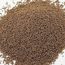 外塘甲鱼苗小甲鱼苗苗王八苗中华鳖生态养殖龙鱼活体饲料  姒桀 6斤甲鱼饲料