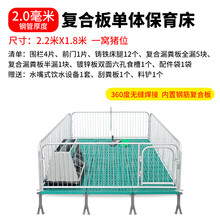 仔猪保育床小猪保育床 猪用保育床保育栏母猪产床定位栏漏粪板限位栏养殖用养猪场设备中泰农牧 【标配】2.0复合板单体【镀锌板槽】