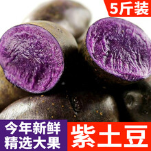山东黑土豆新鲜黑金刚黑美人10蔬菜黑紫色马铃薯乌洋芋大 整箱5斤 2500g