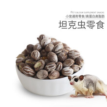 小囧家 蜜袋鼯零食坦克虫高蛋白蜜袋鼬松鼠增肥长肉睡鼠刺猬仓鼠花枝飞鼠育肥用品小宠高脂肪食物 坦克虫 20颗