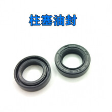 农用隆迈LM双缸电动喷雾器易损件打药机修理包柱塞泵密封圈油水封 LM柱塞油封【2个