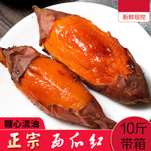 新鲜蜜薯糖心红薯10斤红心番薯沙地烤地瓜超甜 带箱10斤(净重9斤) 大果